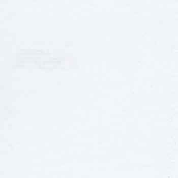 Solid White CLASSIC CUSTOM SHIRT 95C5EA 50*50 SAU013A
